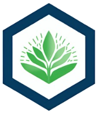 OMNI AUTOMOBILE Logo
